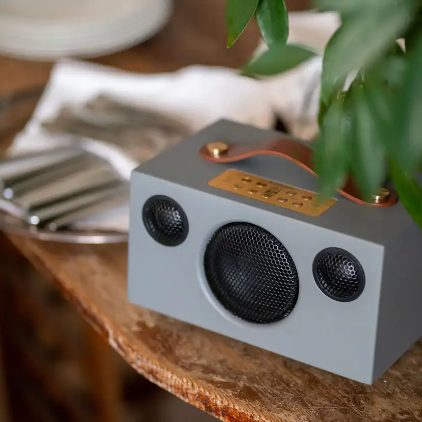 Högtalare Audio Pro C3