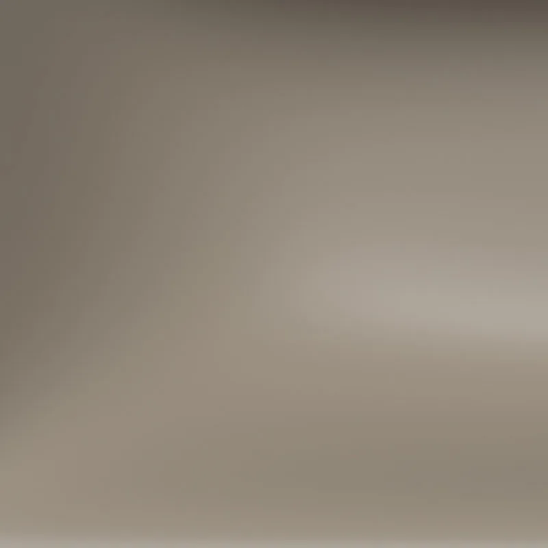 Warm Grey 60