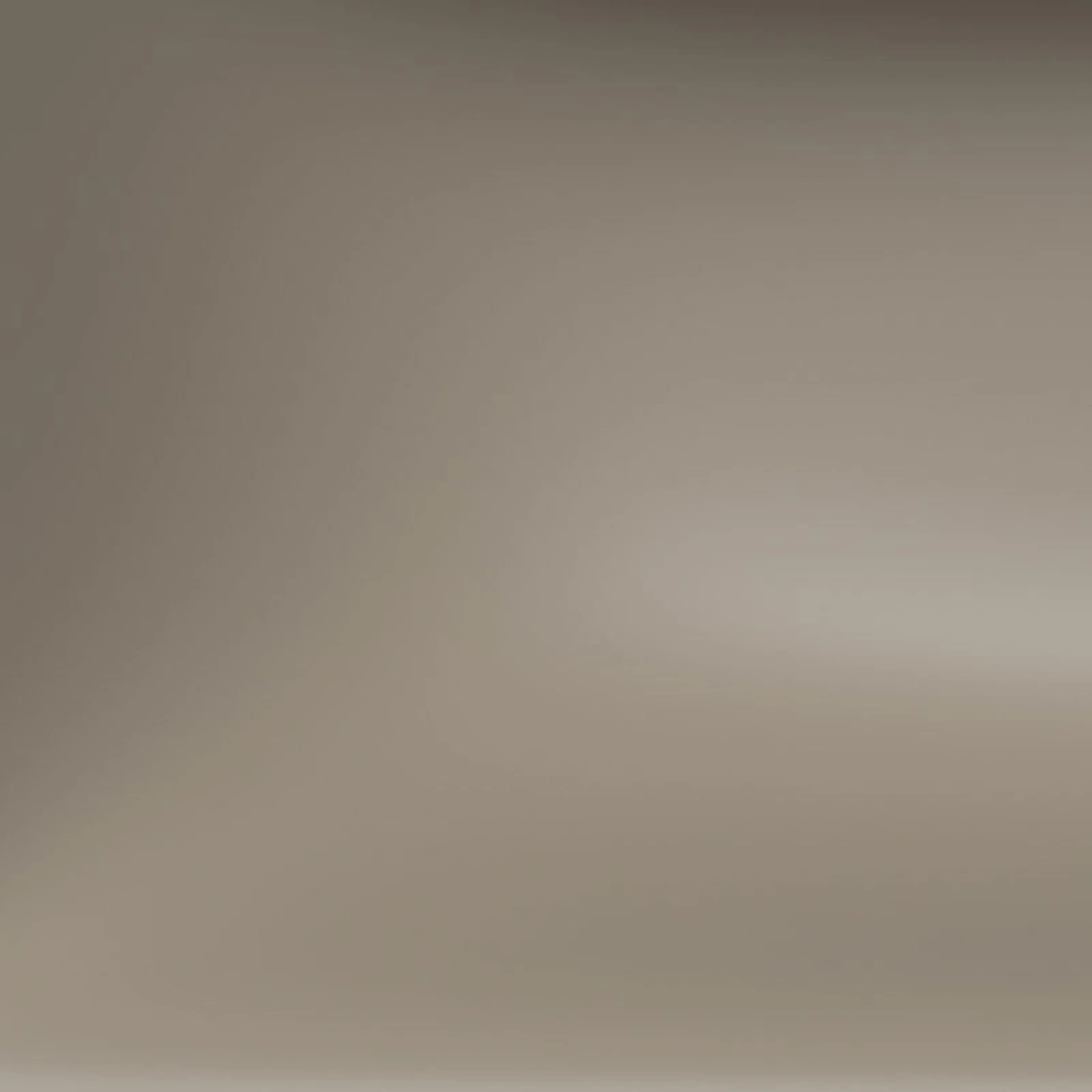 Warm Grey 60