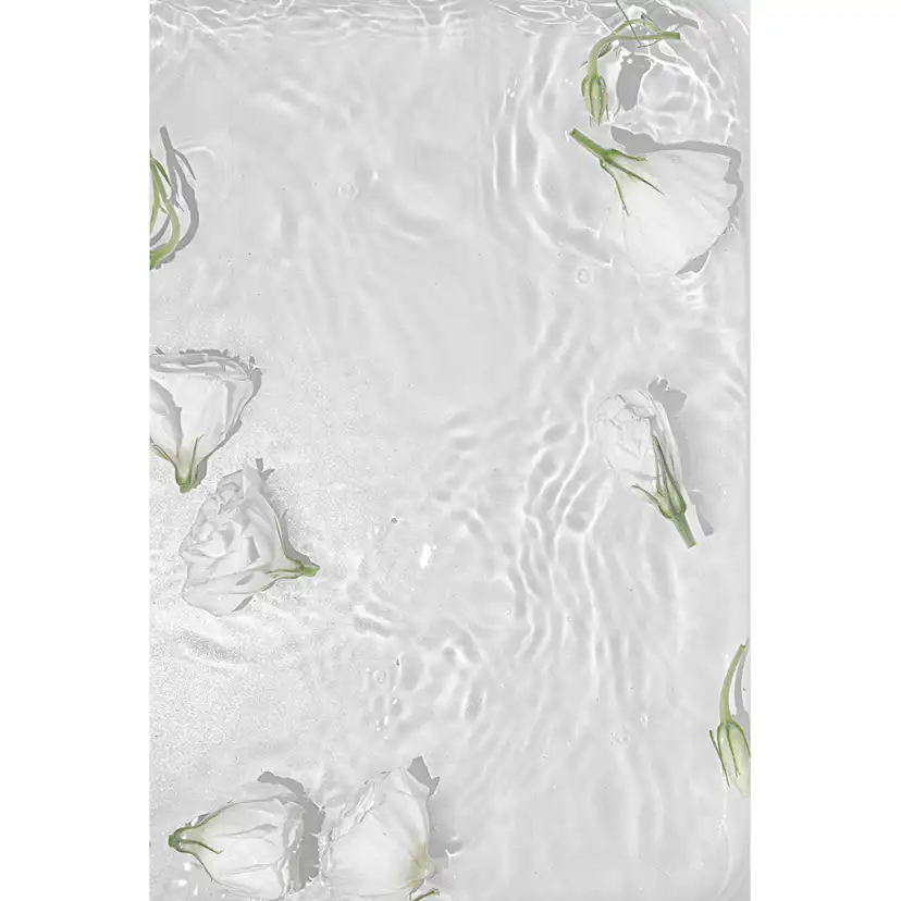 Posters Venture Home White Roses Vit