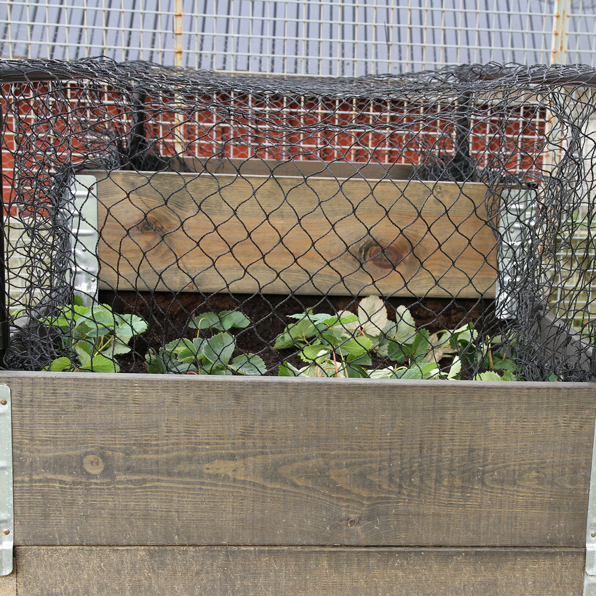 Plast- och näthöjare Flexigarden Grön