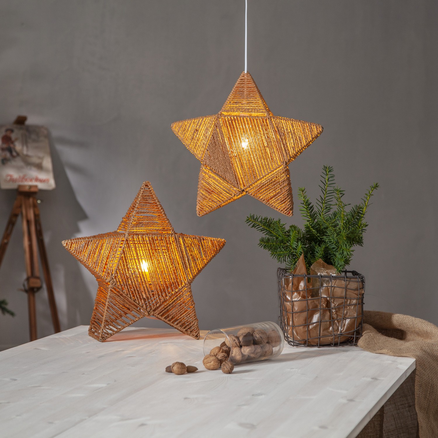 Stjärna Star Trading Rappe Stående