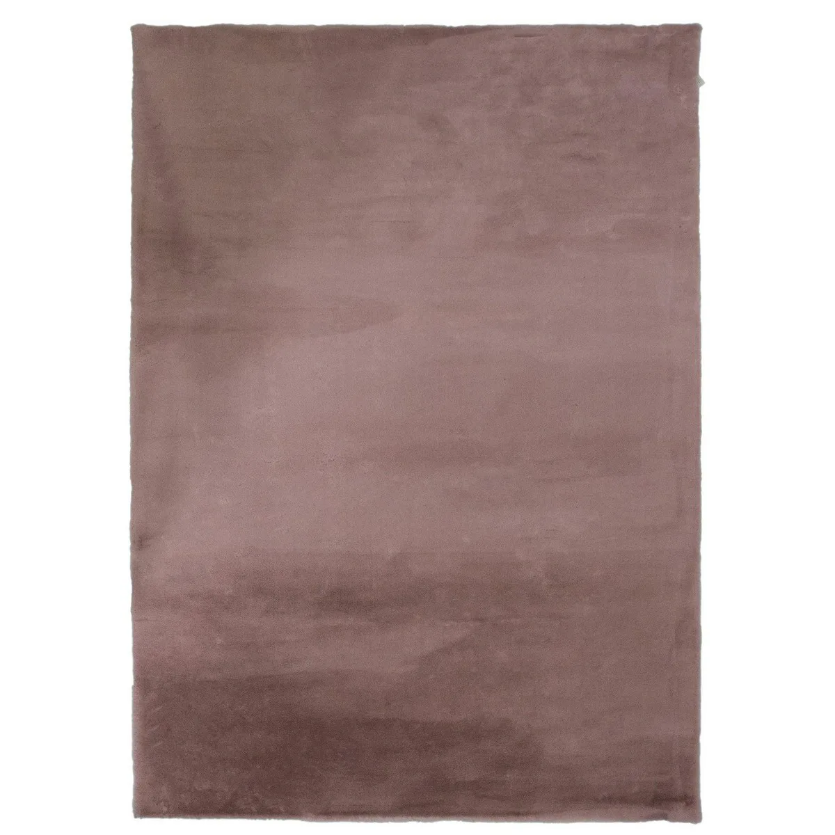 Ninha Matta Rosa, 160x230 cm