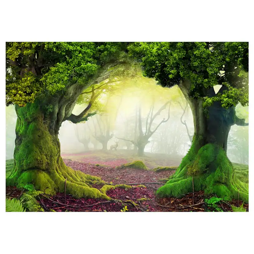 Fototapet Arkiio Självhäftande Enchanted Forest