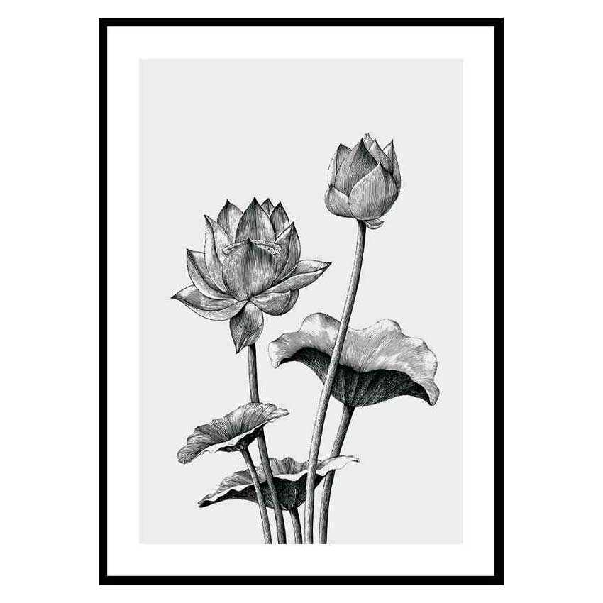 Poster Gallerix Sketched Flowers