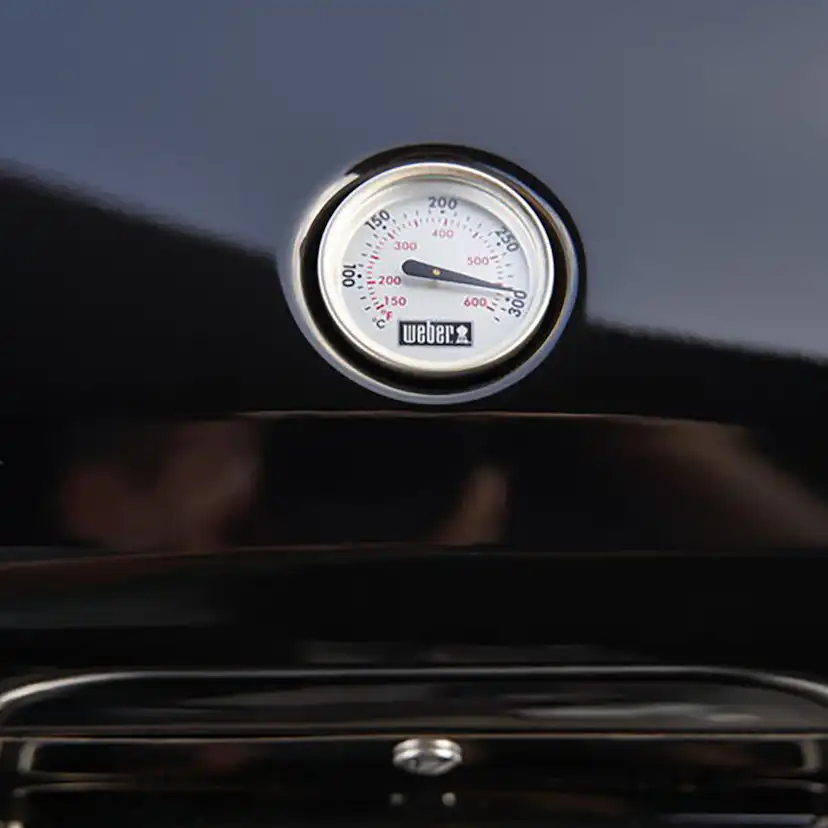 Elgrill Weber Lumin med ställning