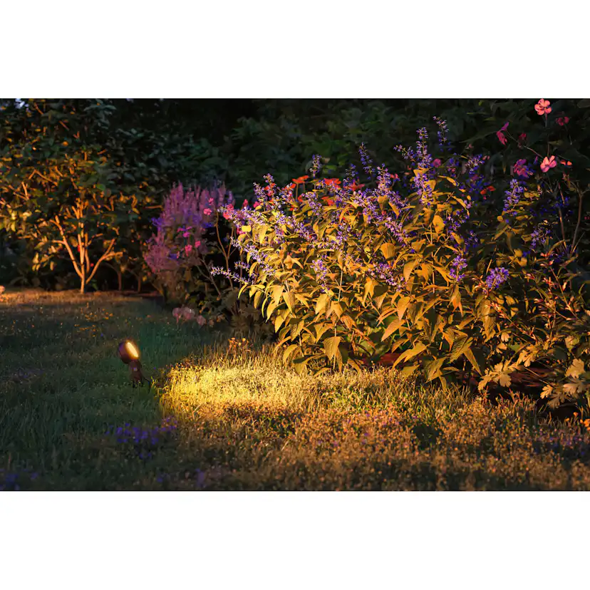Spotlight Paulmann Sting Plug & Shine LED IP67 24V 3-pack med Kabel och Transformator Ljus: Gold Light (insektsvänlig)