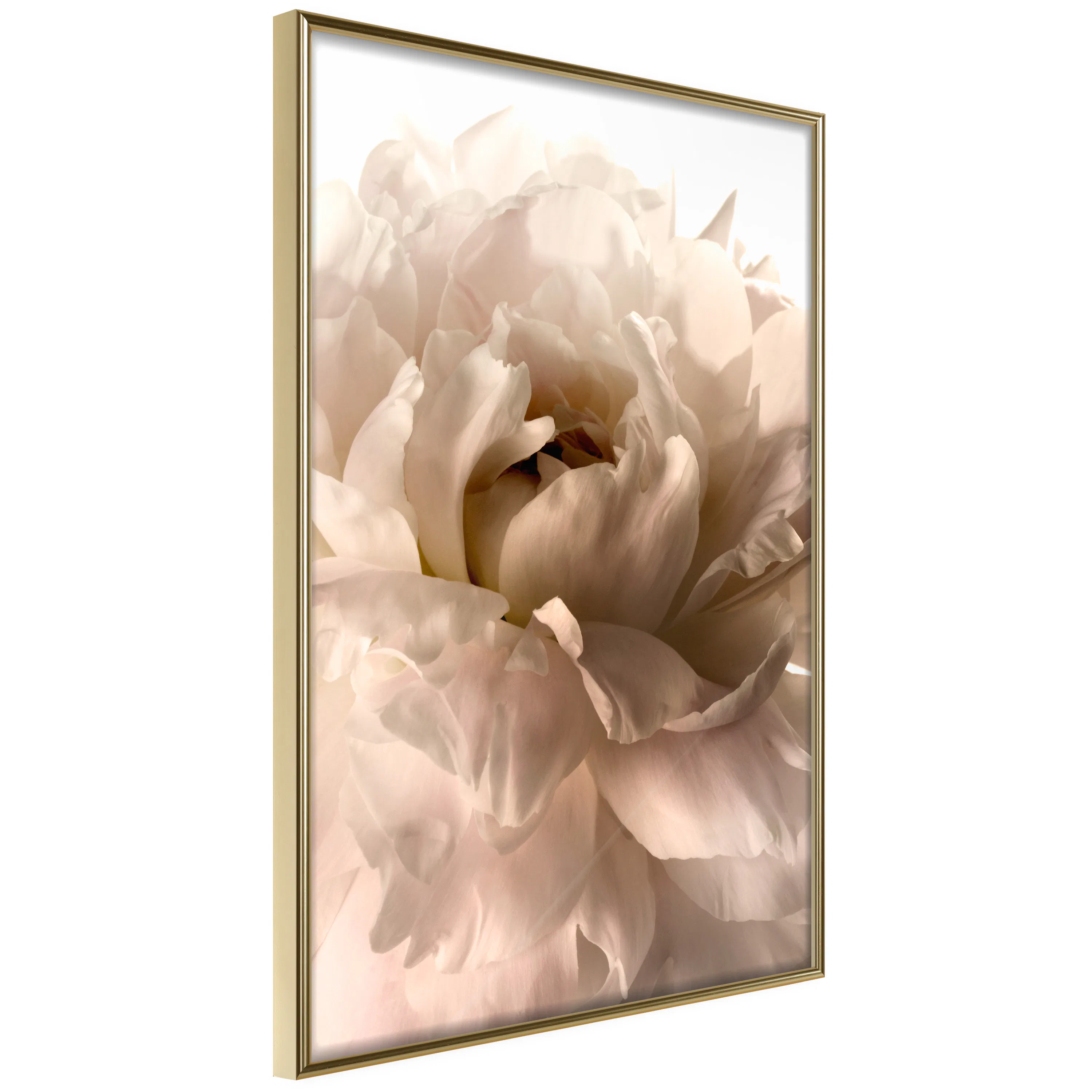Poster Artgeist Affisch Soft Petals