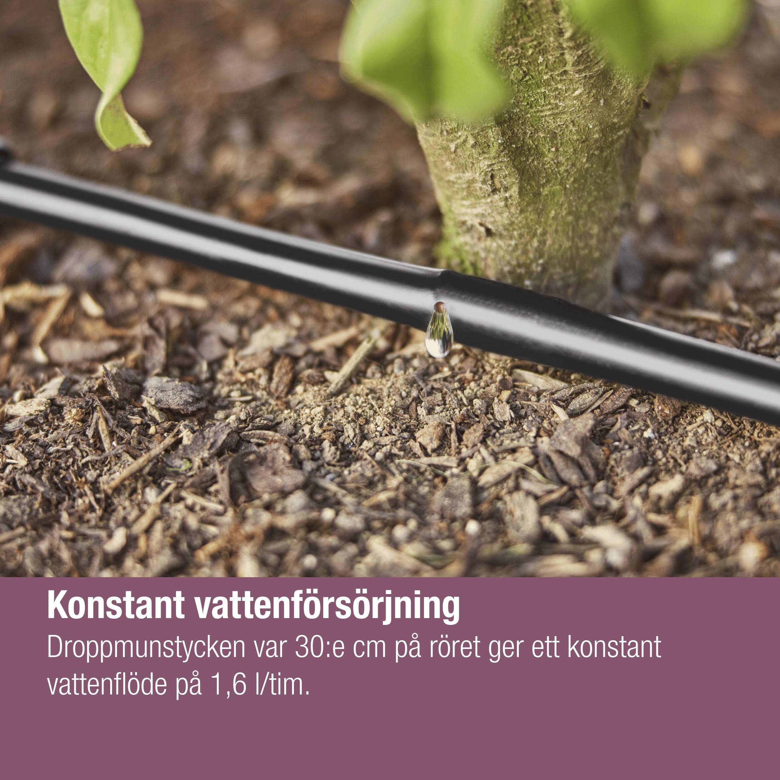 Droppslang Gardena Micro-Drip Set 25 m Ovan och Under Jord