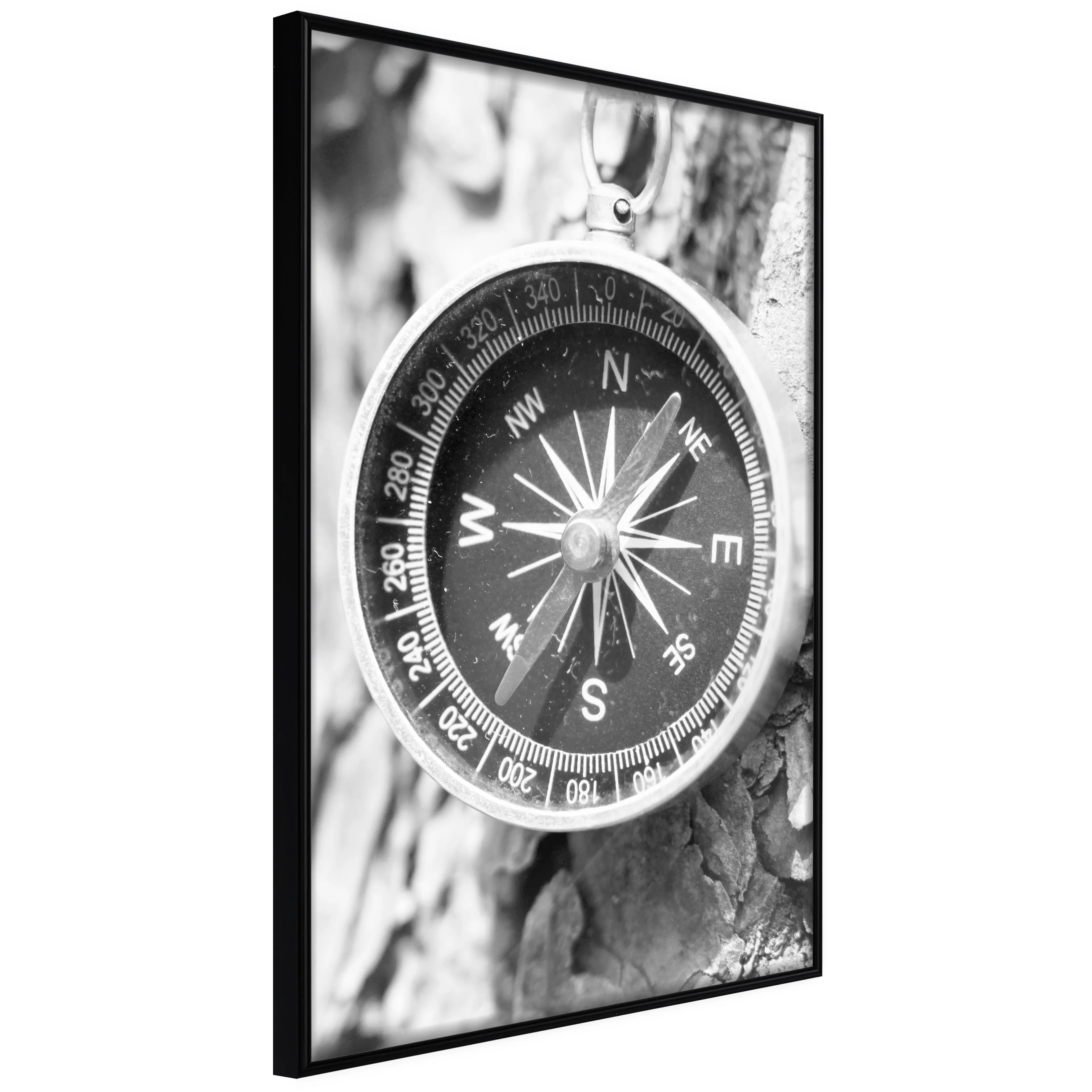 Affisch - Black and White Compass [Poster] 20x30 Svart ram, 20x30 cm