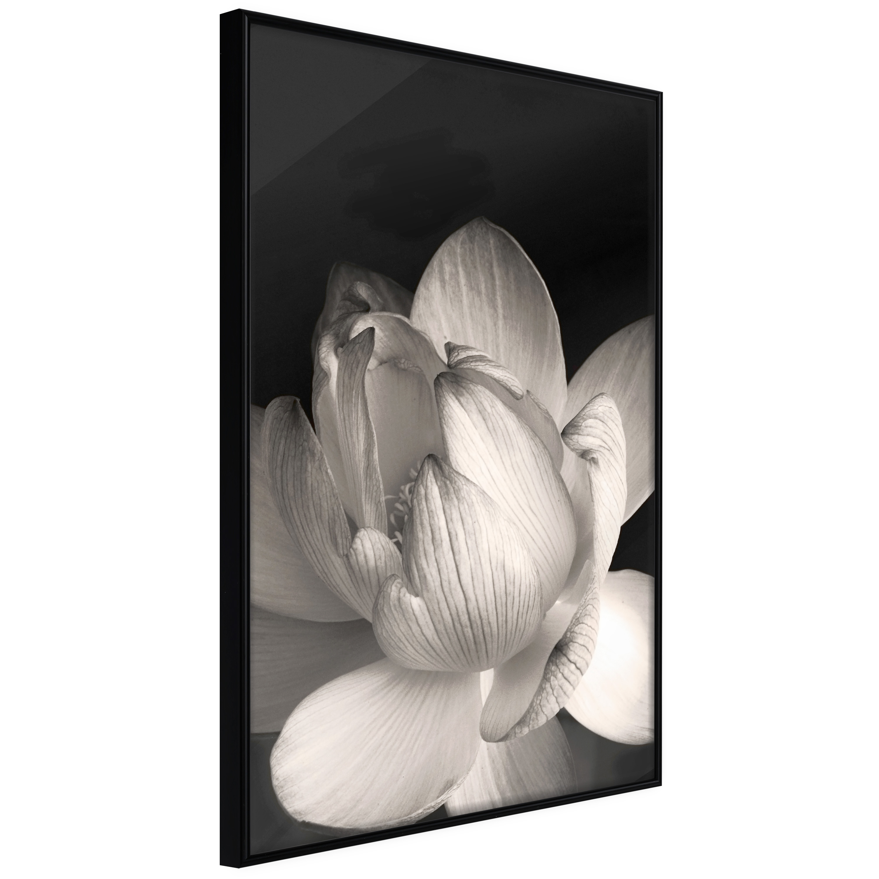 Poster Artgeist Affisch White Subtlety