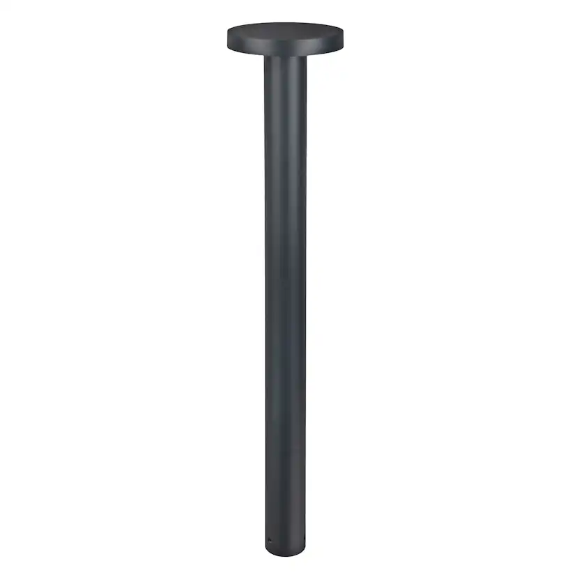 Pollare Norlys Borg 6190