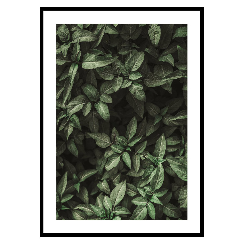Poster Gallerix Garden Green No1