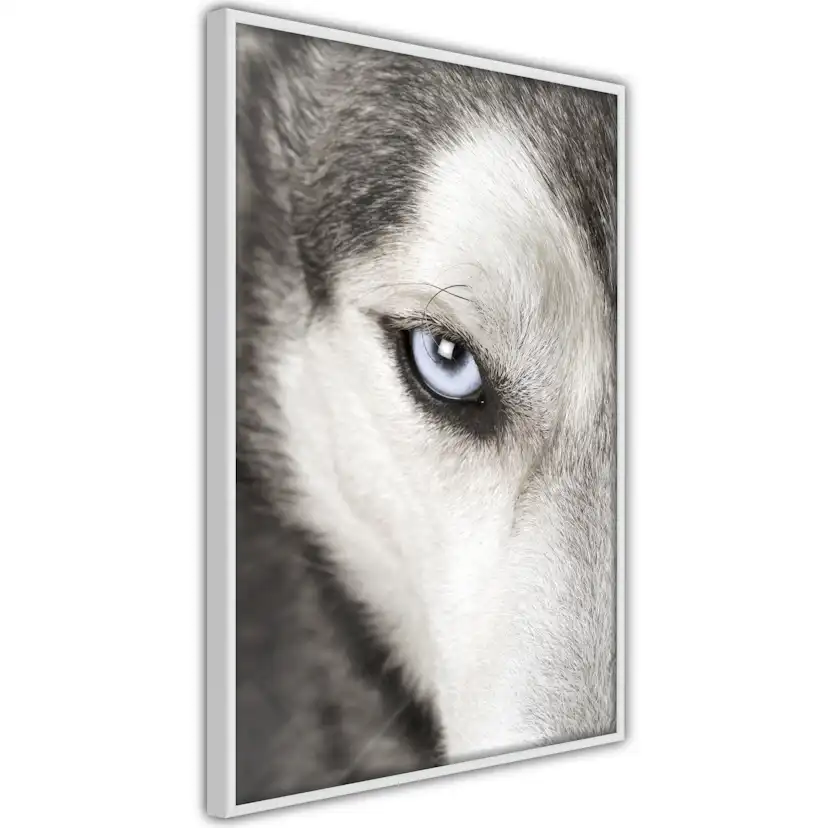 Poster Artgeist Affisch Dog's Look