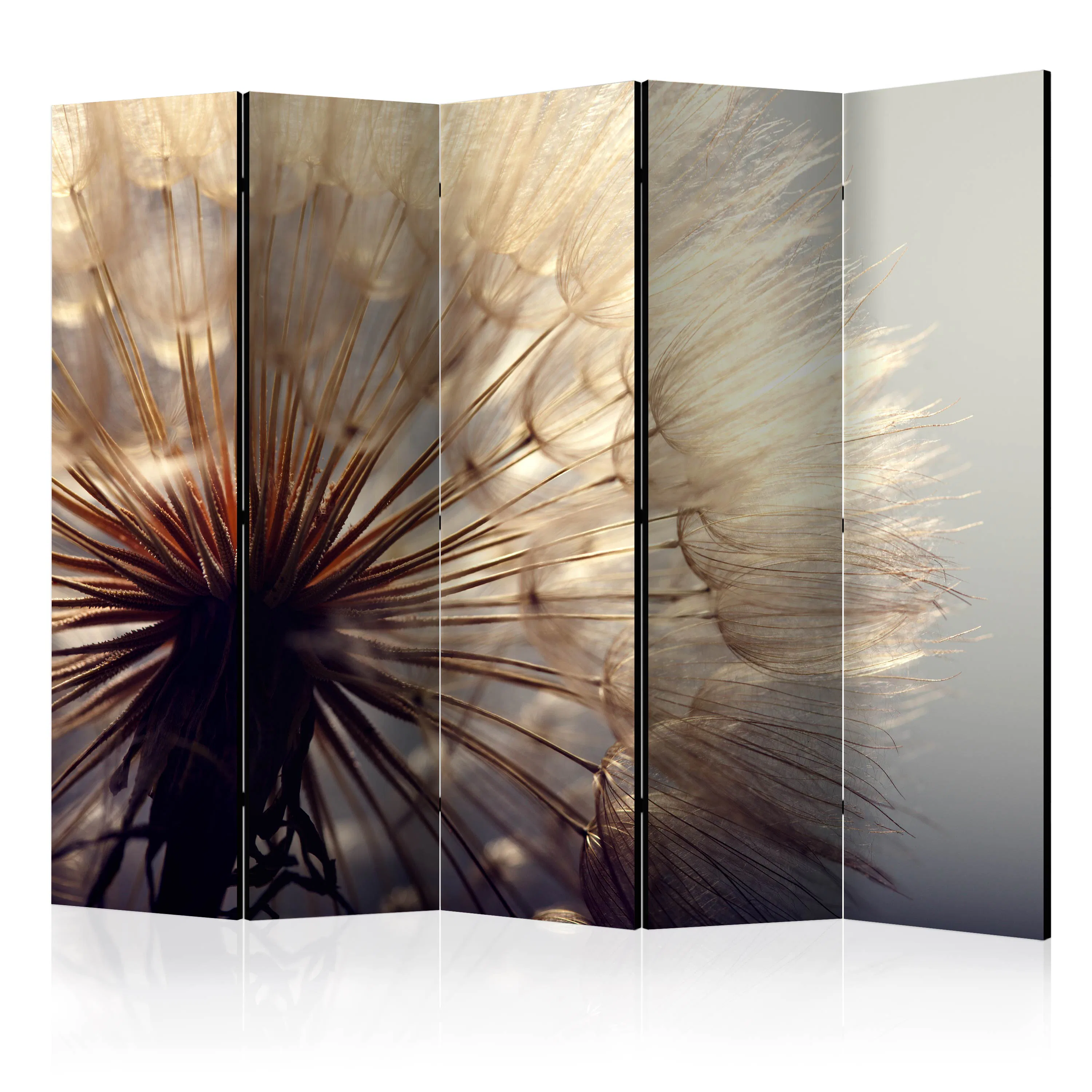 Rumsavdelare Skärmvägg Arkiio Dandelion Kiss II 225x172 cm