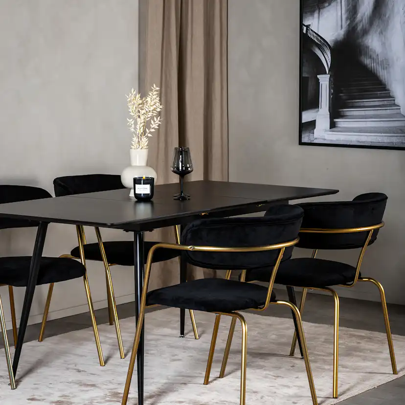 Matgrupp Venture Home Silvia med Iläggsskiva och 4 Aris Karmstolar