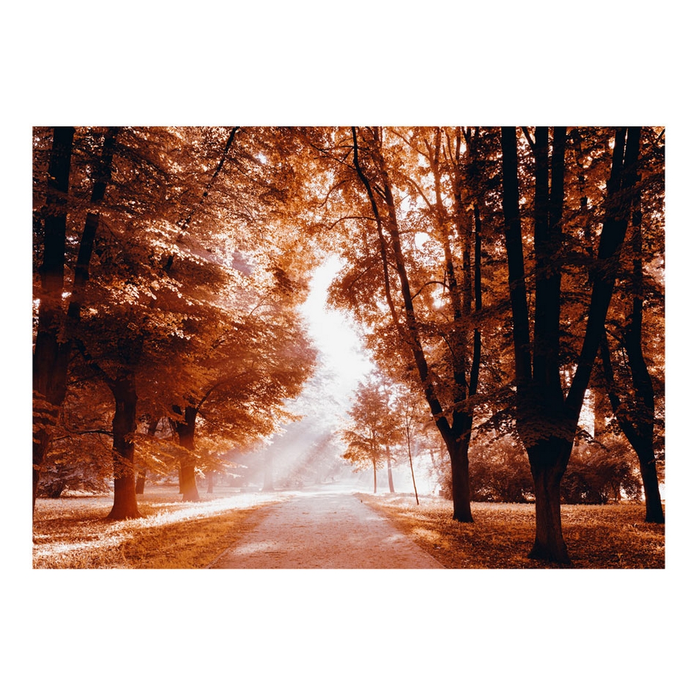 Självhäftande fototapet - Autumn Park 147x105 Storlek: 147x105 cm