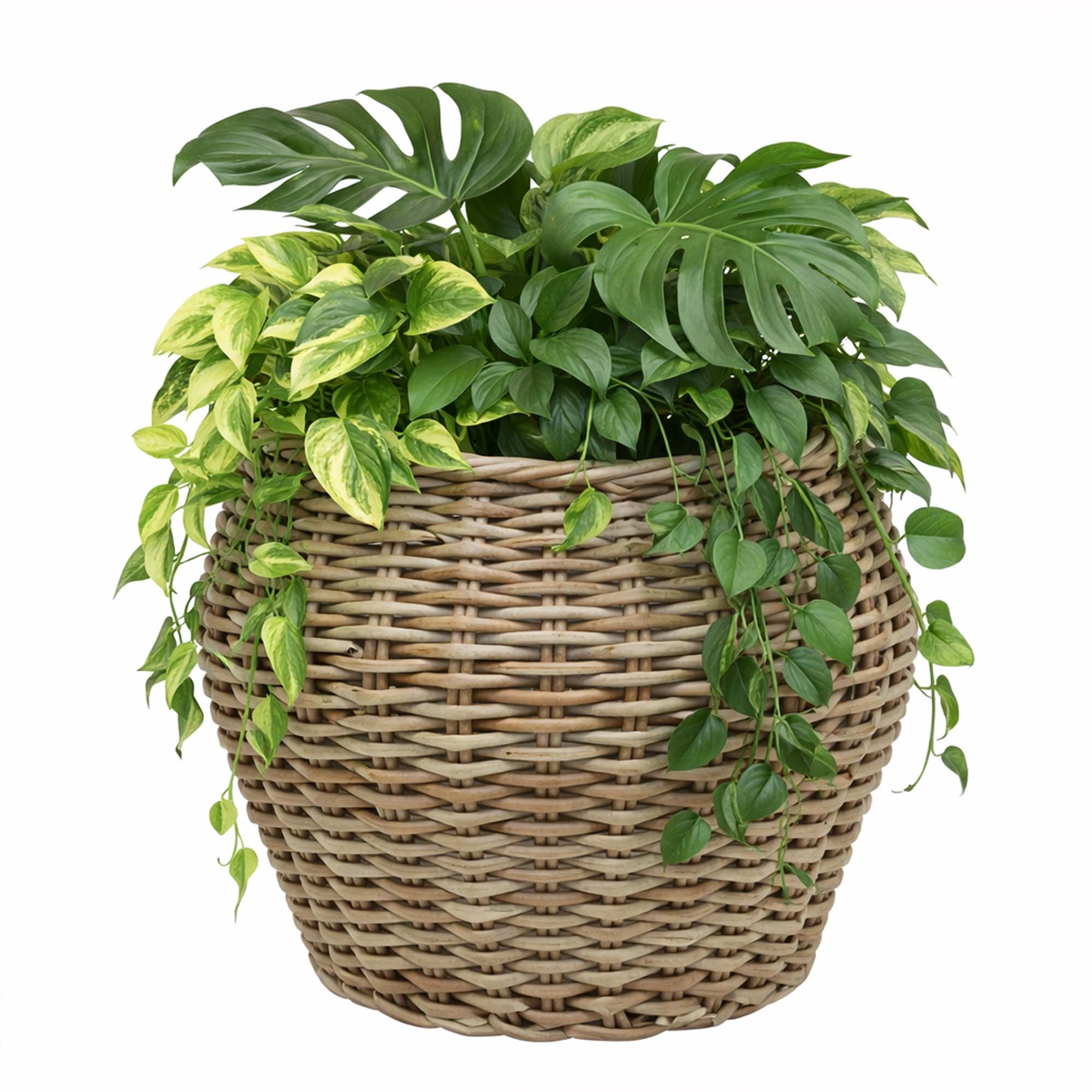 Planteringskorg Baltic Garden LEMMER runda planteringskorgar 2-pack