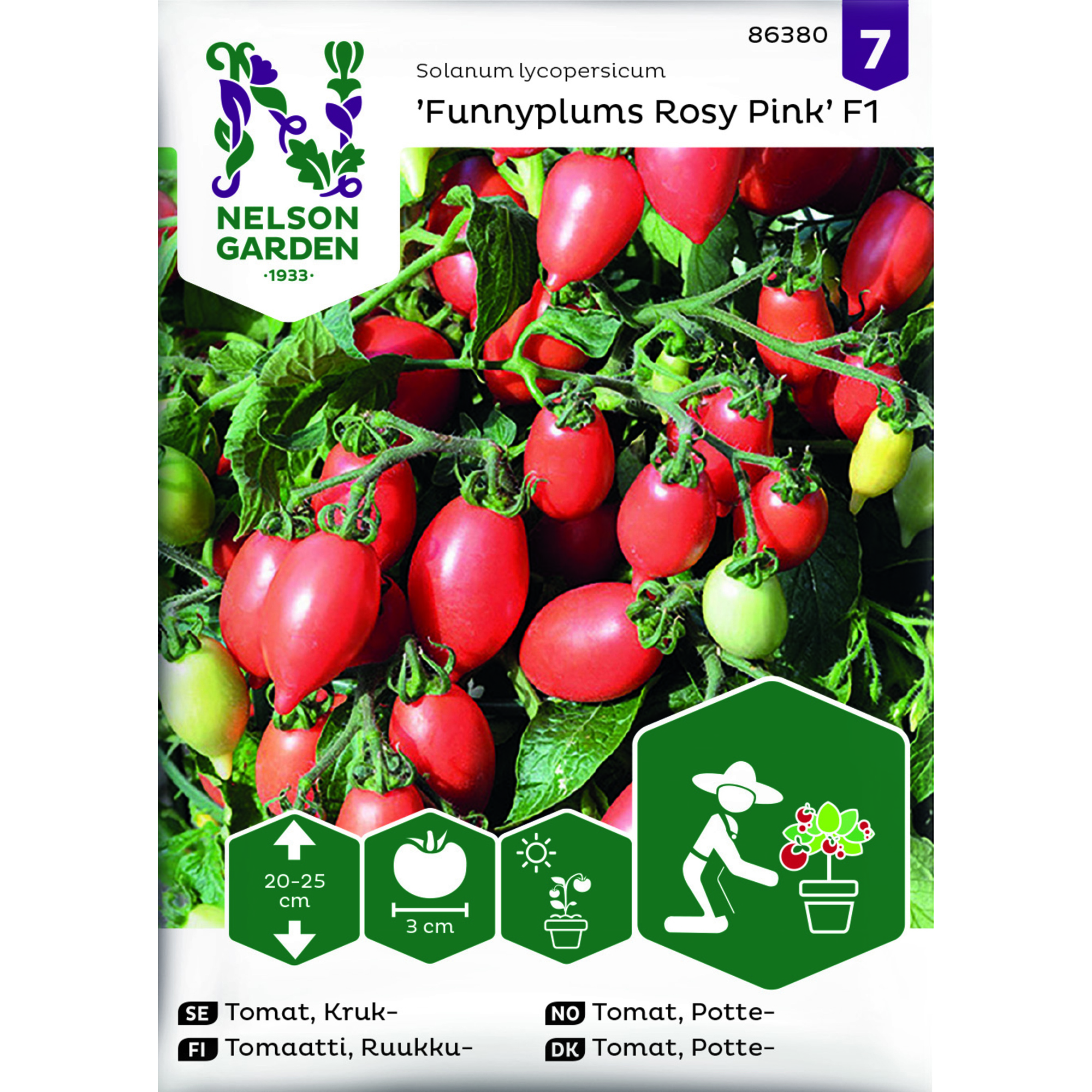 Frö Nelson Garden Tomat Funnyplums Rosy Pink F1 Kruktomat