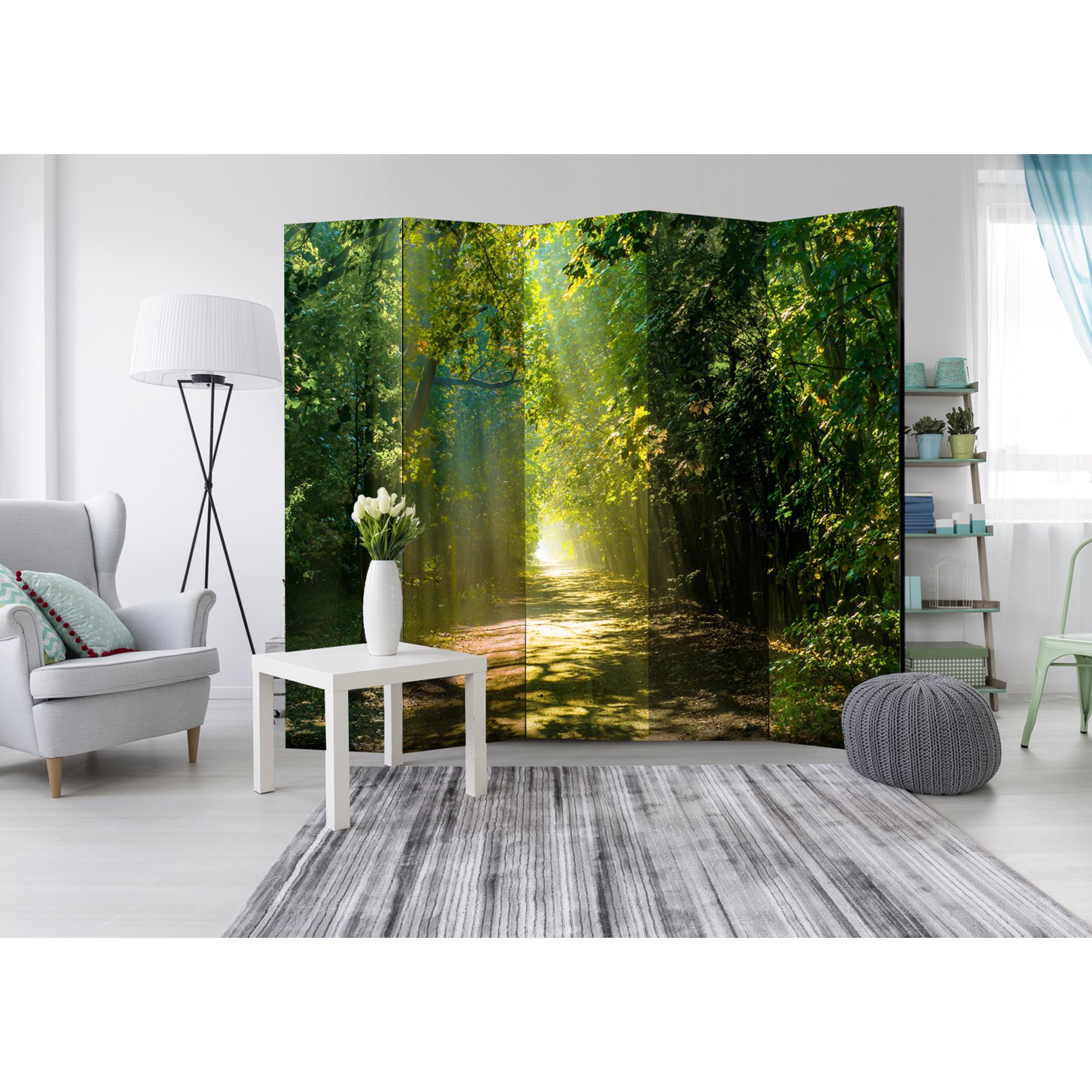 Rumsavdelare Skärmvägg Arkiio Road in Sunlight II 225x172 cm