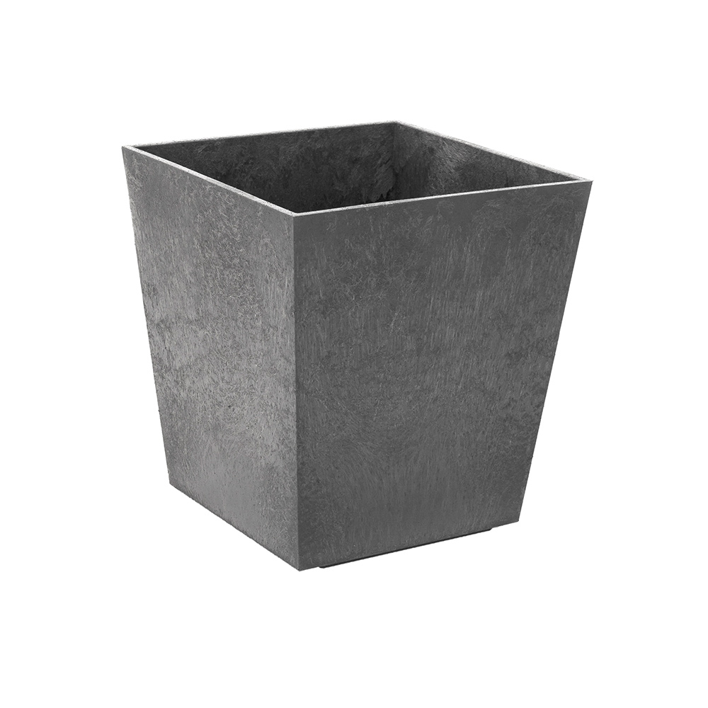 Blomkruka Recal Sonata