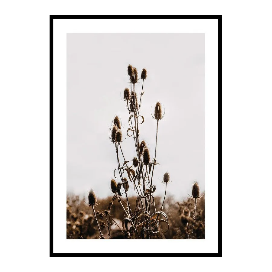 Poster Gallerix Reeds