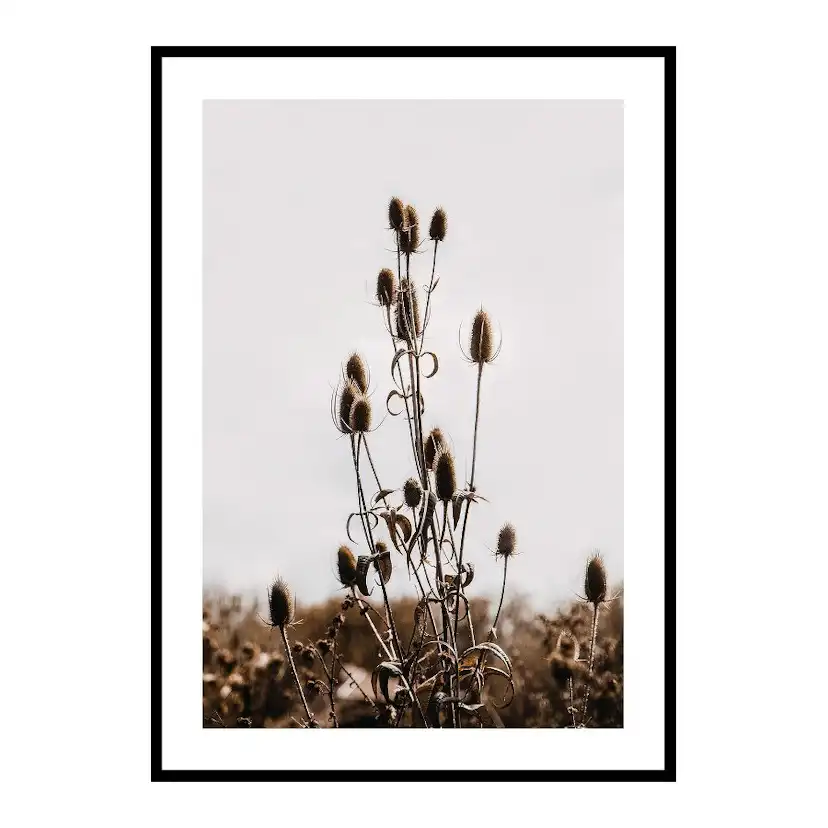 Poster Gallerix Reeds
