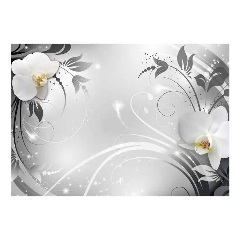 Orchids on silver 250x175 Storlek: 250x175 cm
