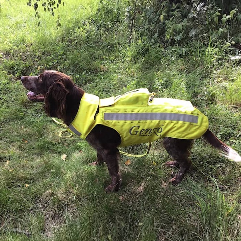 Skyddsväst Genzo Wild Boar för Hund