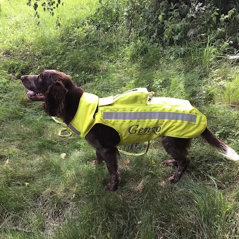 Skyddsväst Genzo Wild Boar för Hund