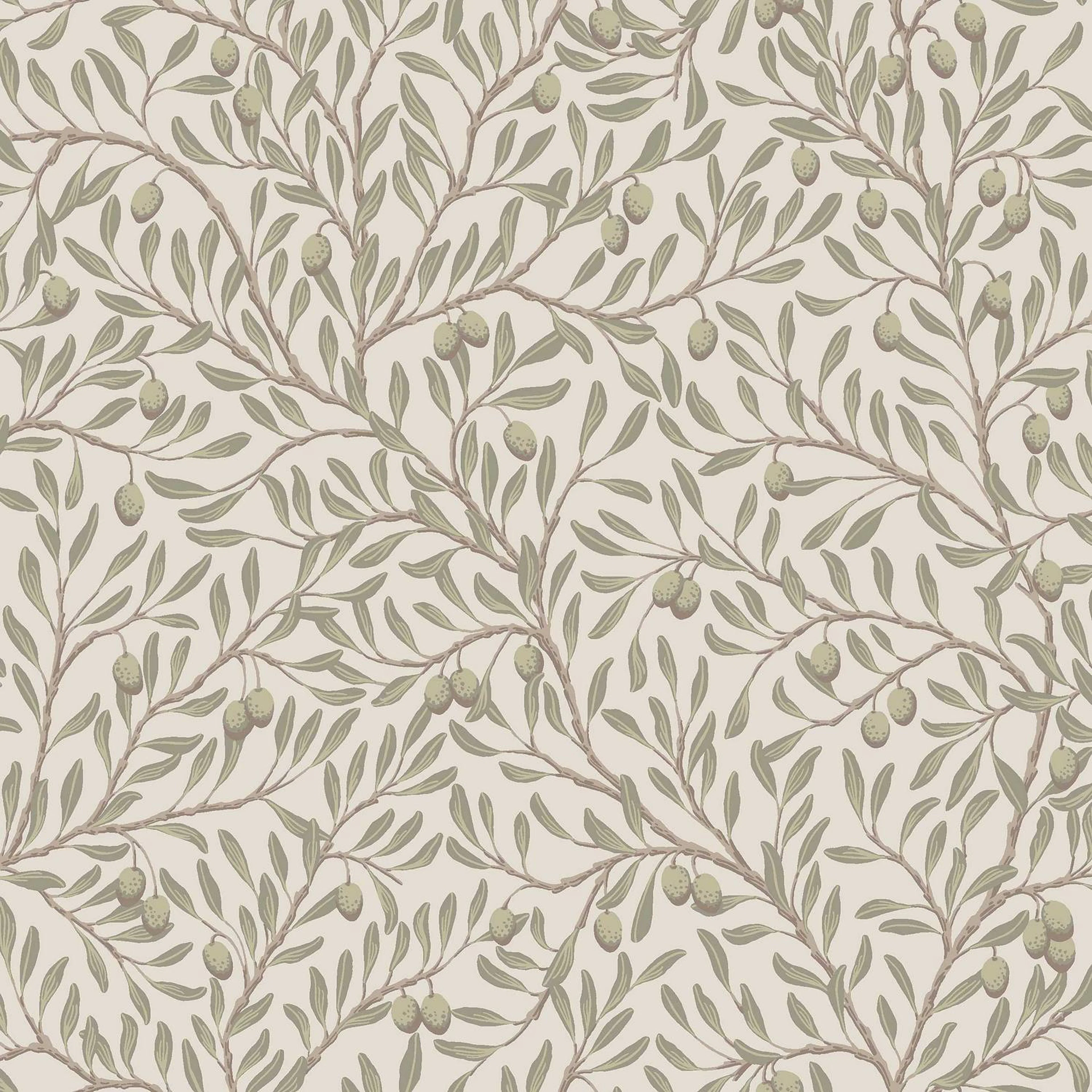 Tapet Boråstapeter Olivträd 5705
