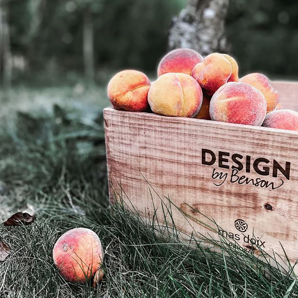 Odlingslåda by Benson