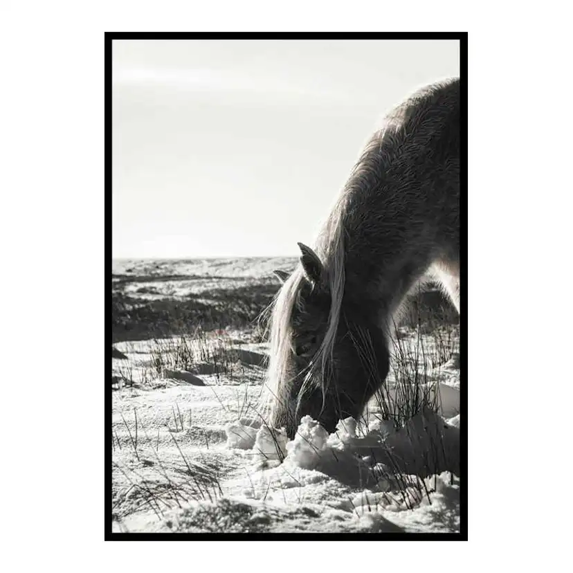Poster Gallerix Winter Horse