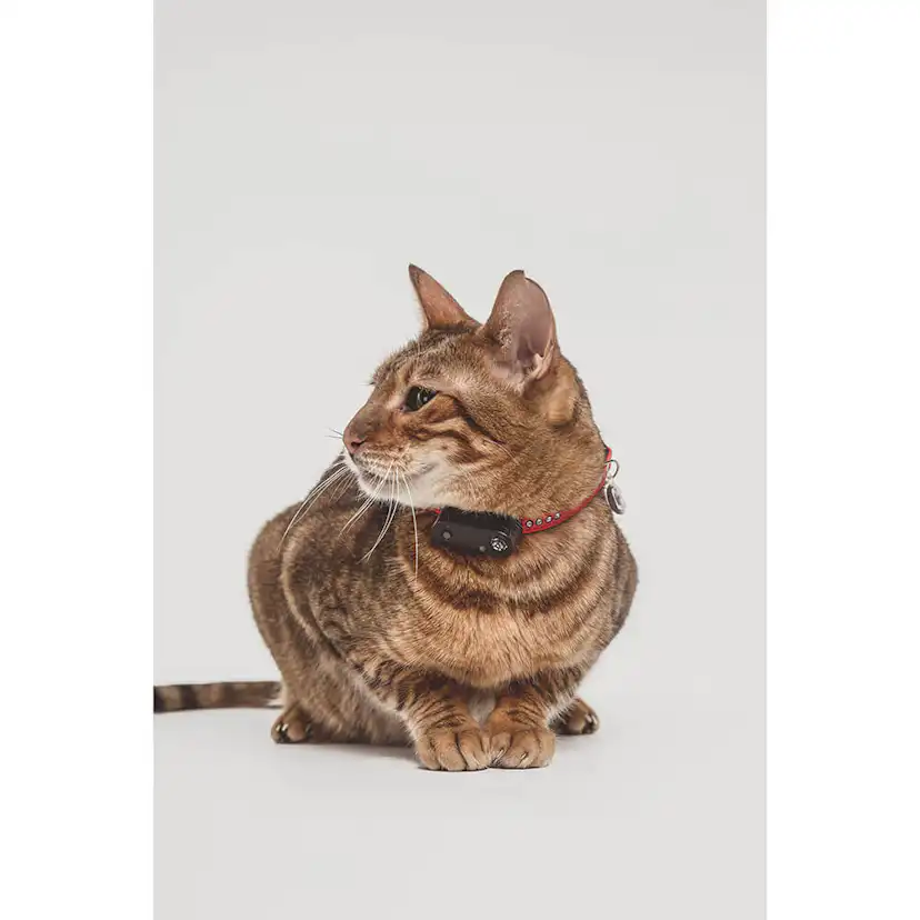 Fästingskydd TICKLESS Mini Katt Radie 2,5 m