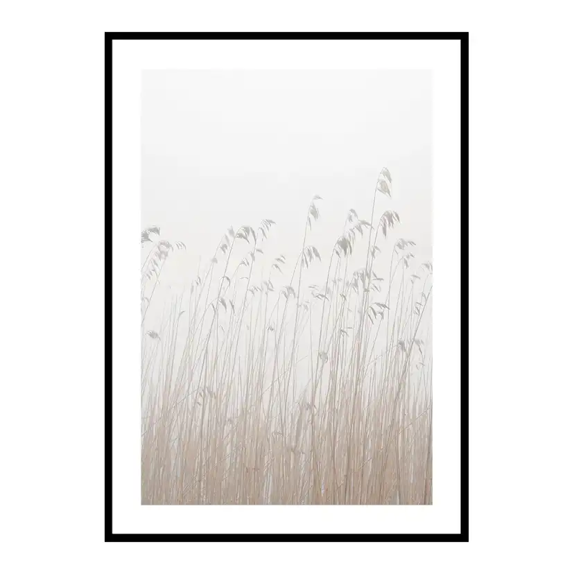 Poster Gallerix Grass In Fog