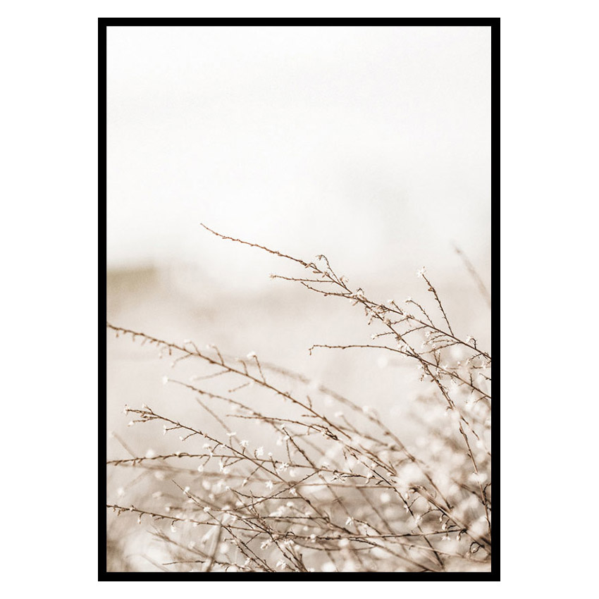 Poster Gallerix Branches