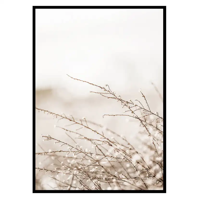 Poster Gallerix Branches
