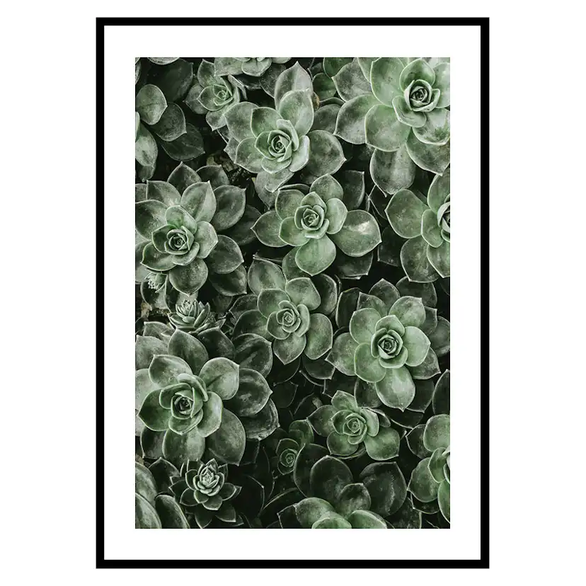 Poster Gallerix Close Up Green