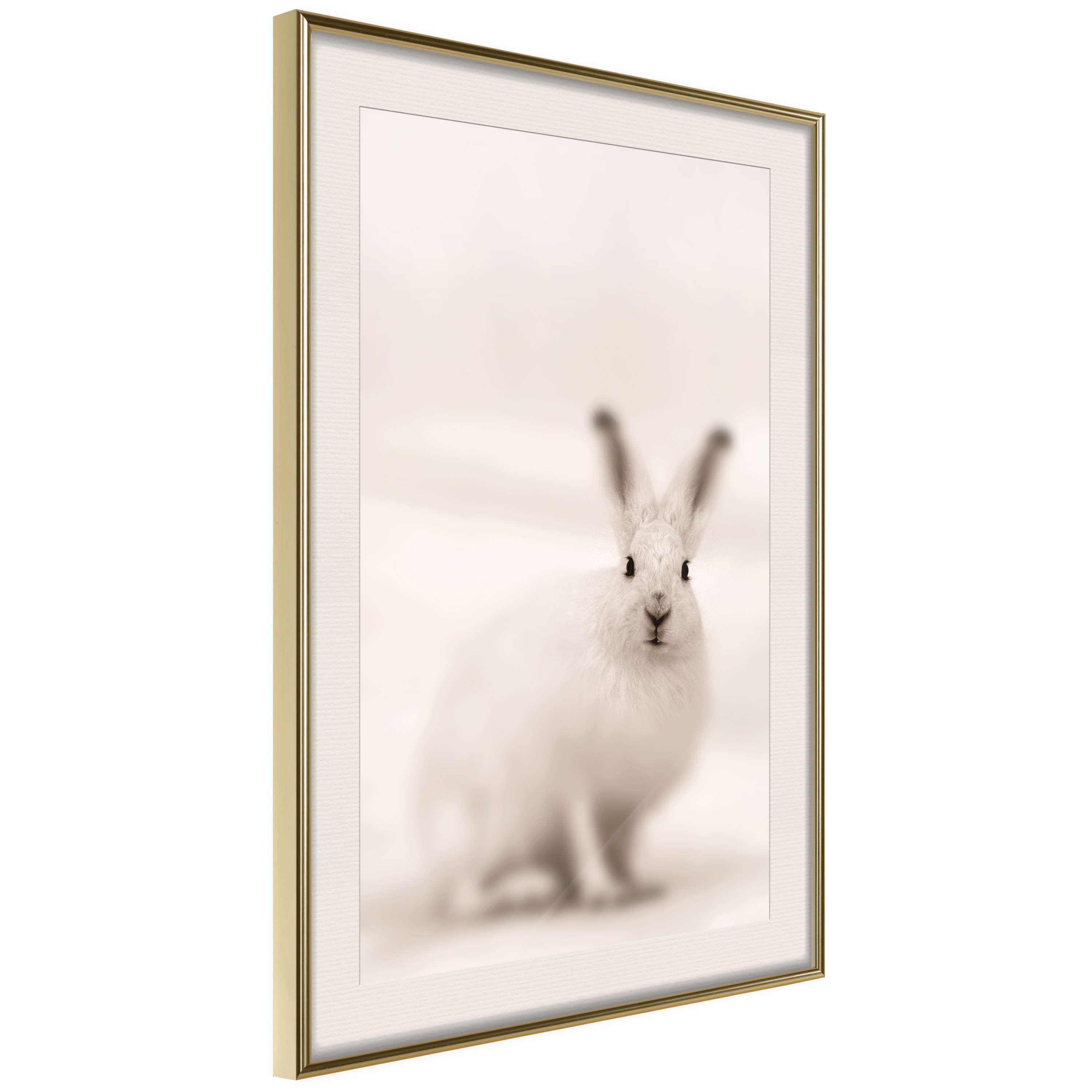 Poster Artgeist Affisch Fearful Look