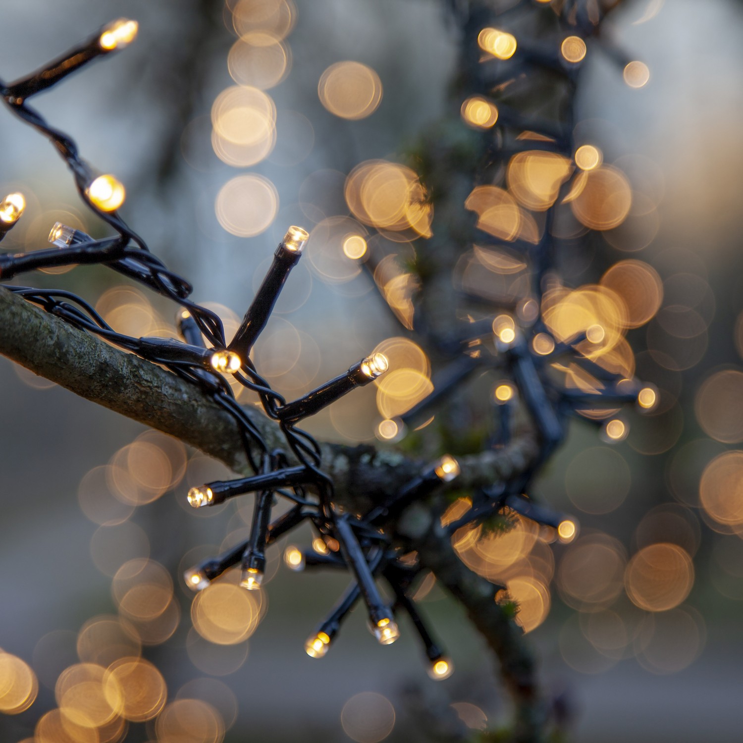 Ljusslinga Star Trading Flashy