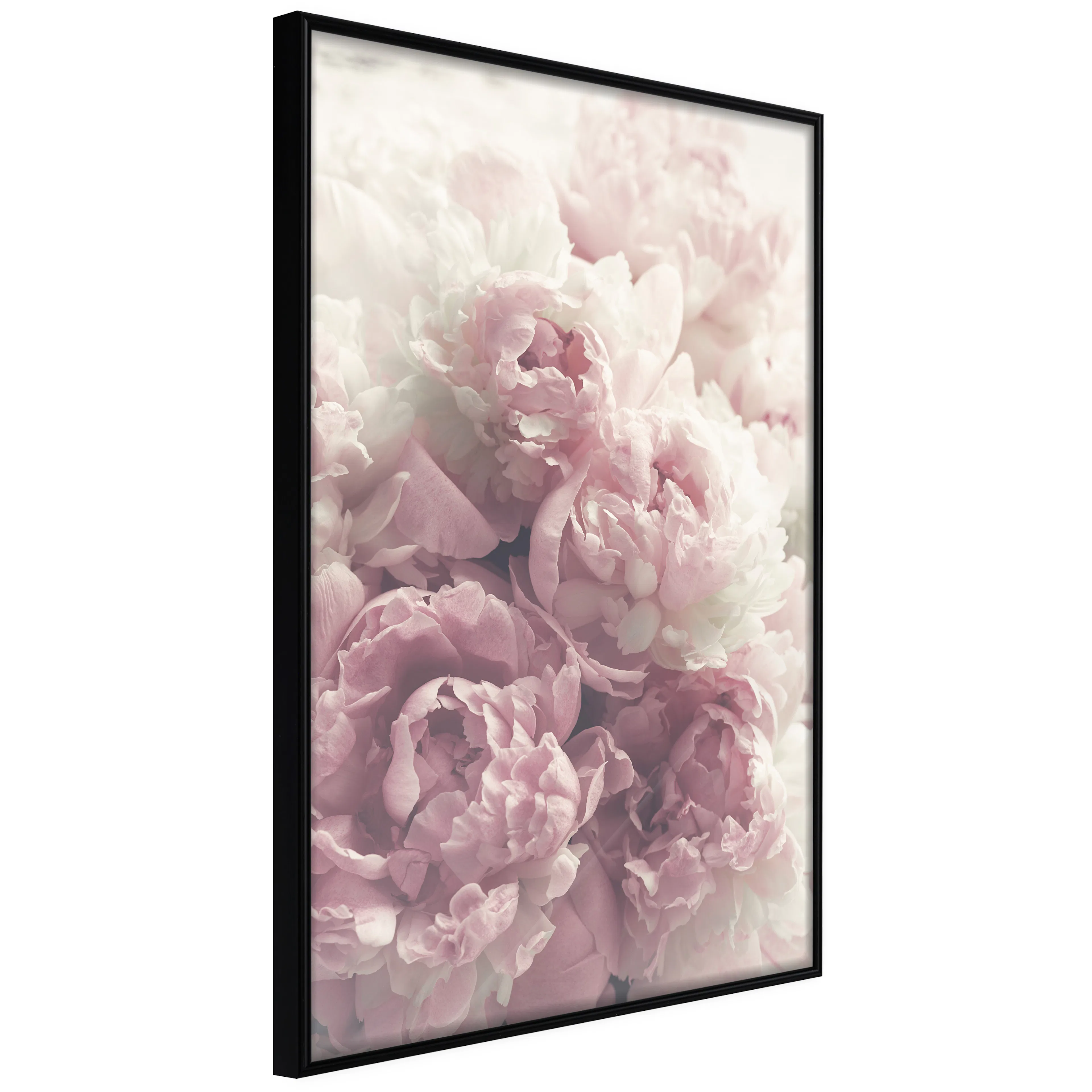 Affisch - Delicate Peonies [Poster] 30x45 Svart ram, 30x45 cm
