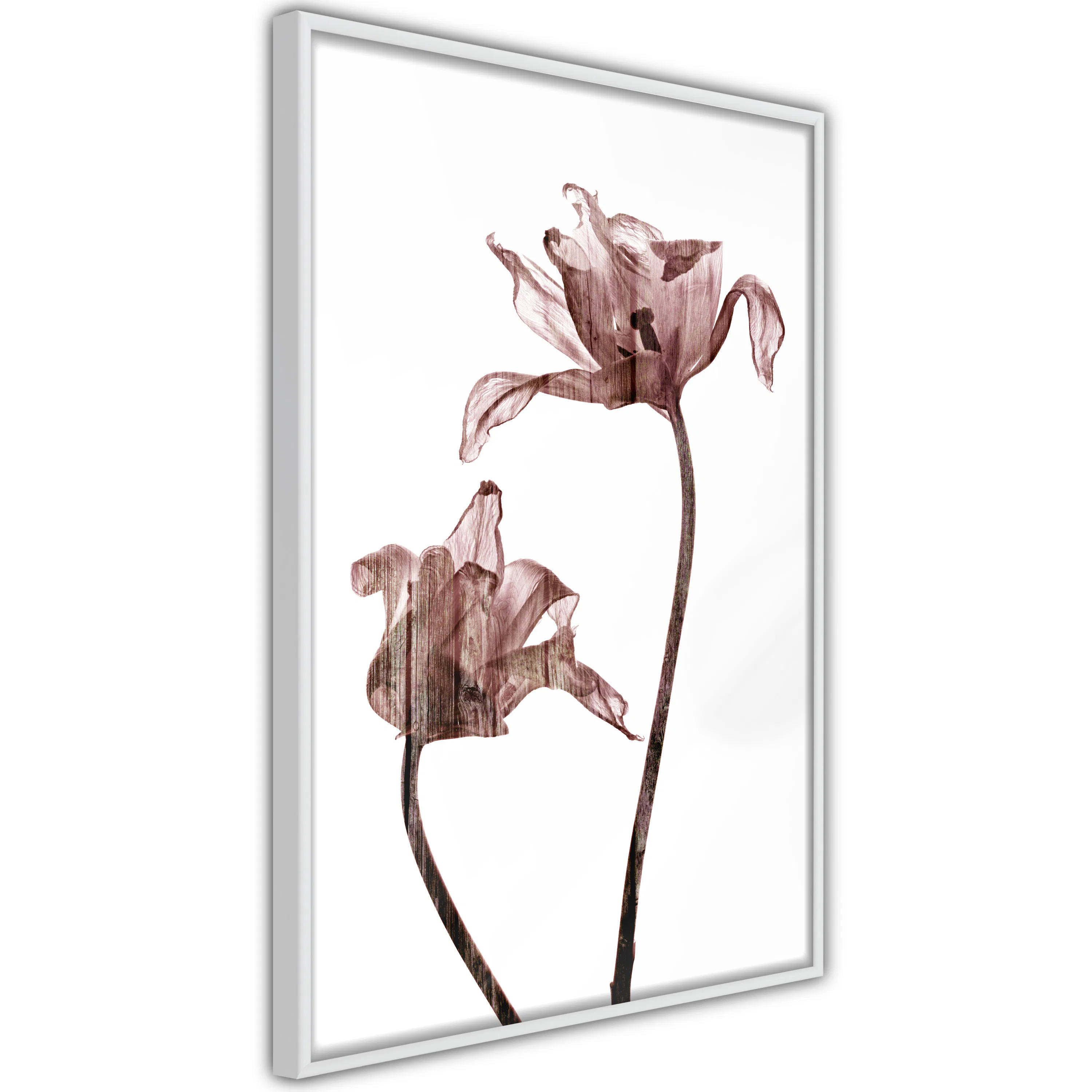 Poster Artgeist Affisch Illuminated Closeness
