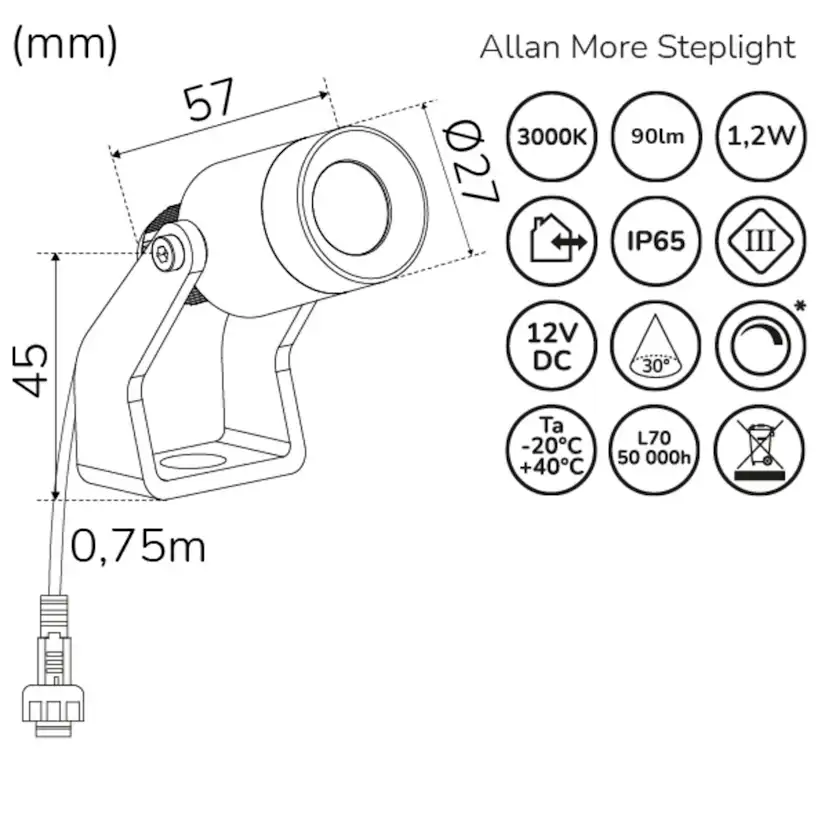 Spotlight Llitt Allan More