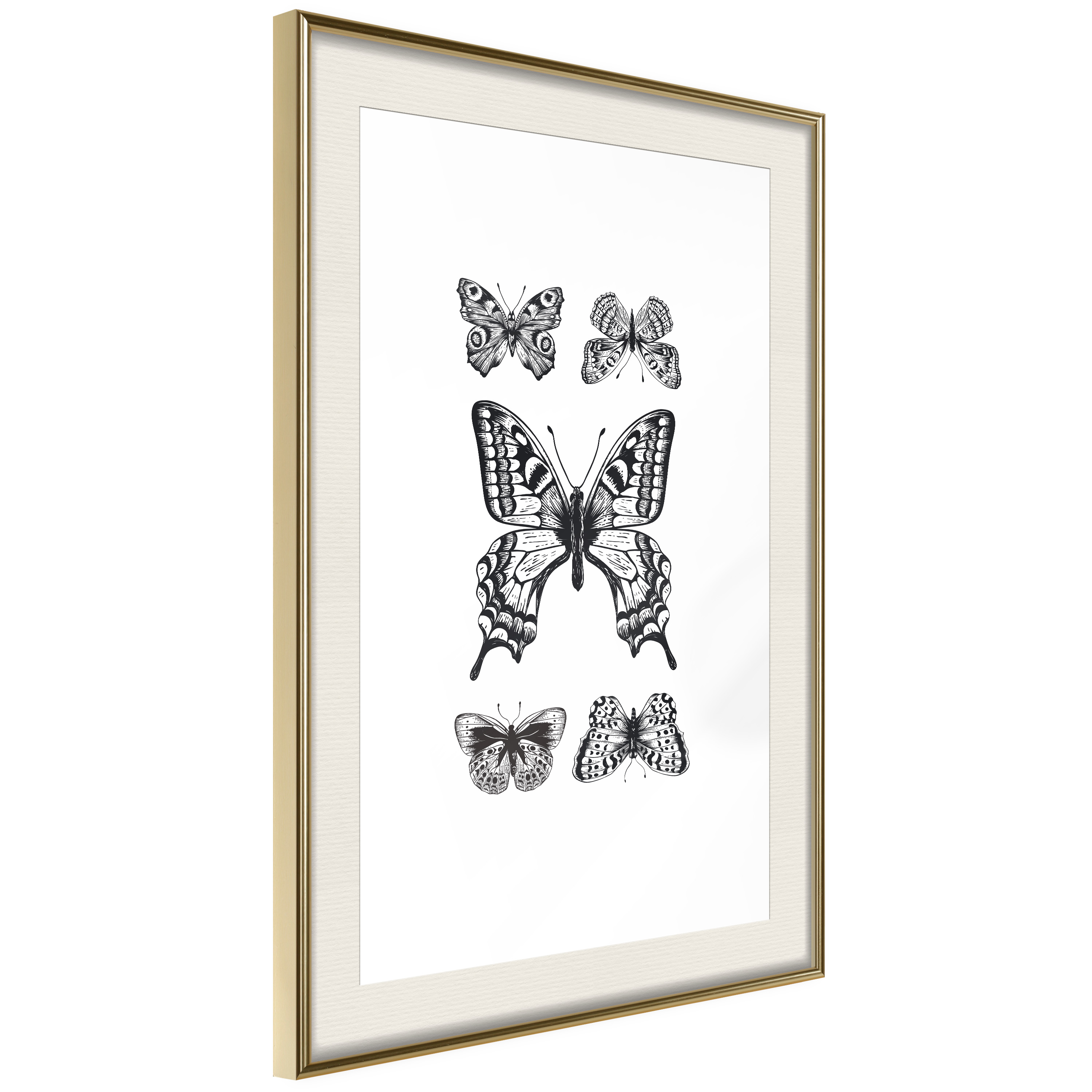 Affisch - Five Butterflies [Poster] 40x60 Guld ram med passepartout, 40x60 cm