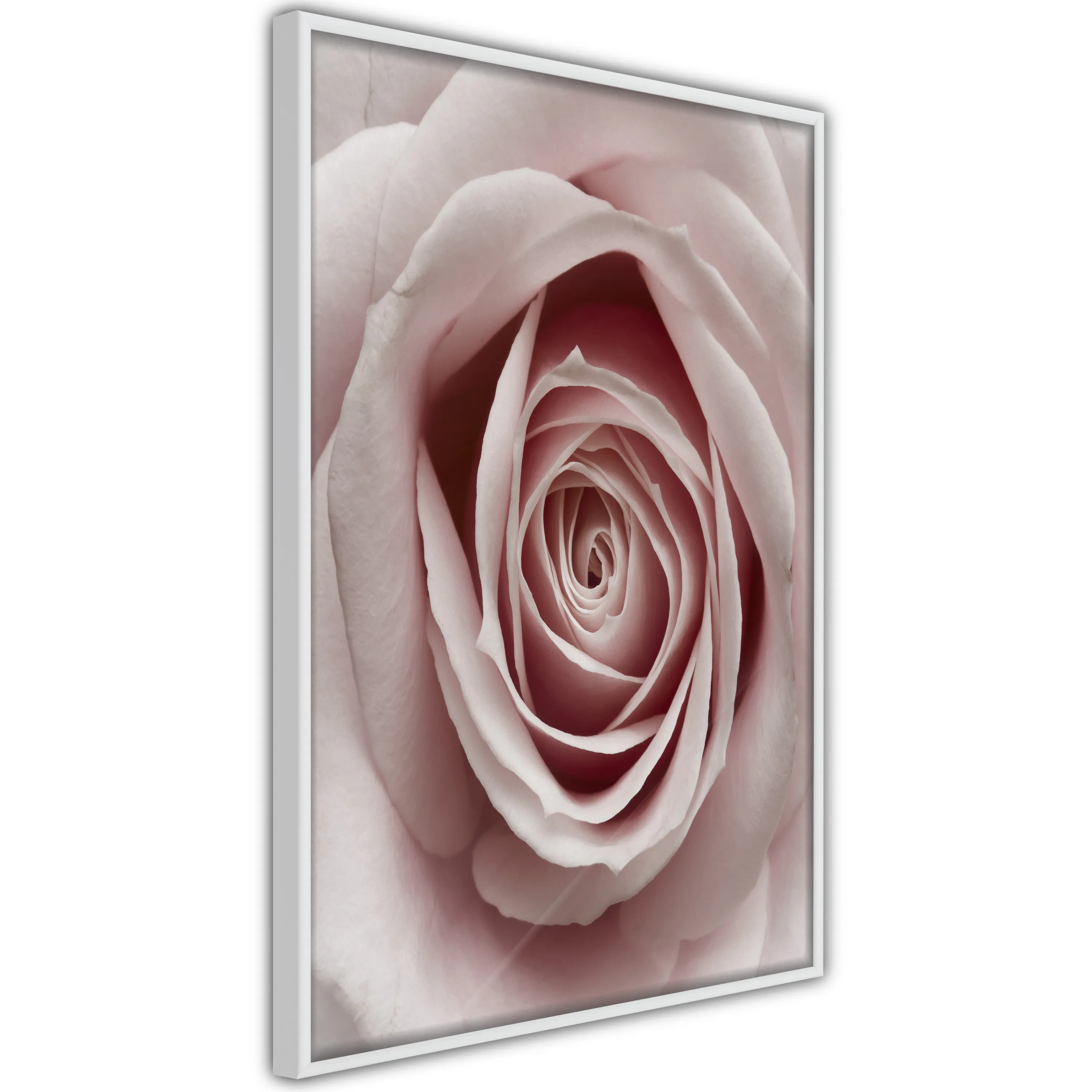 Poster Artgeist Affisch Pastel Rose