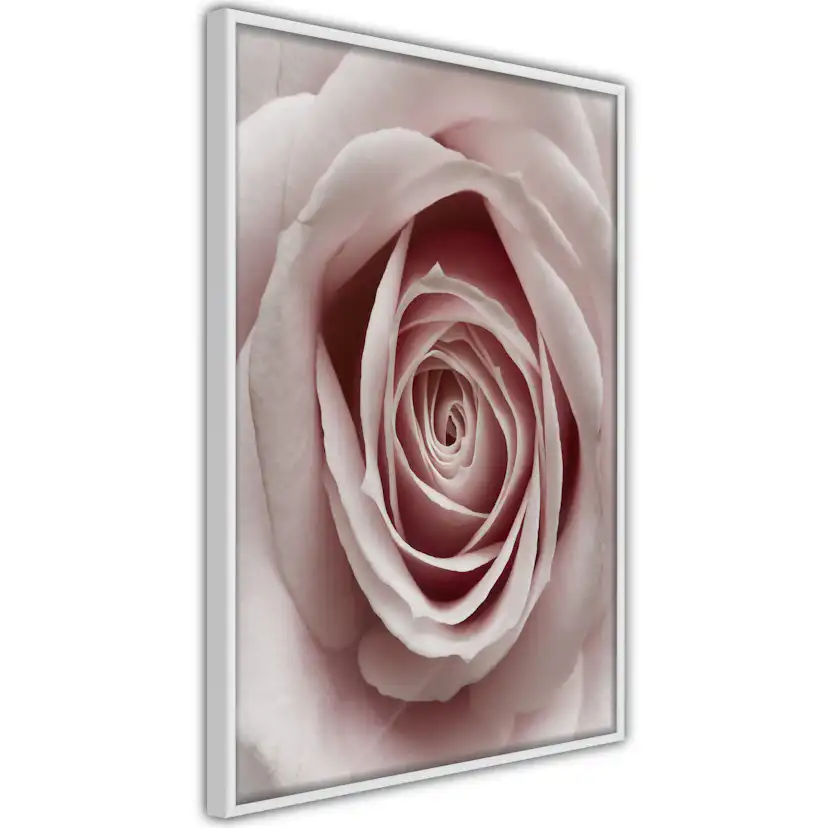 Poster Artgeist Affisch Pastel Rose