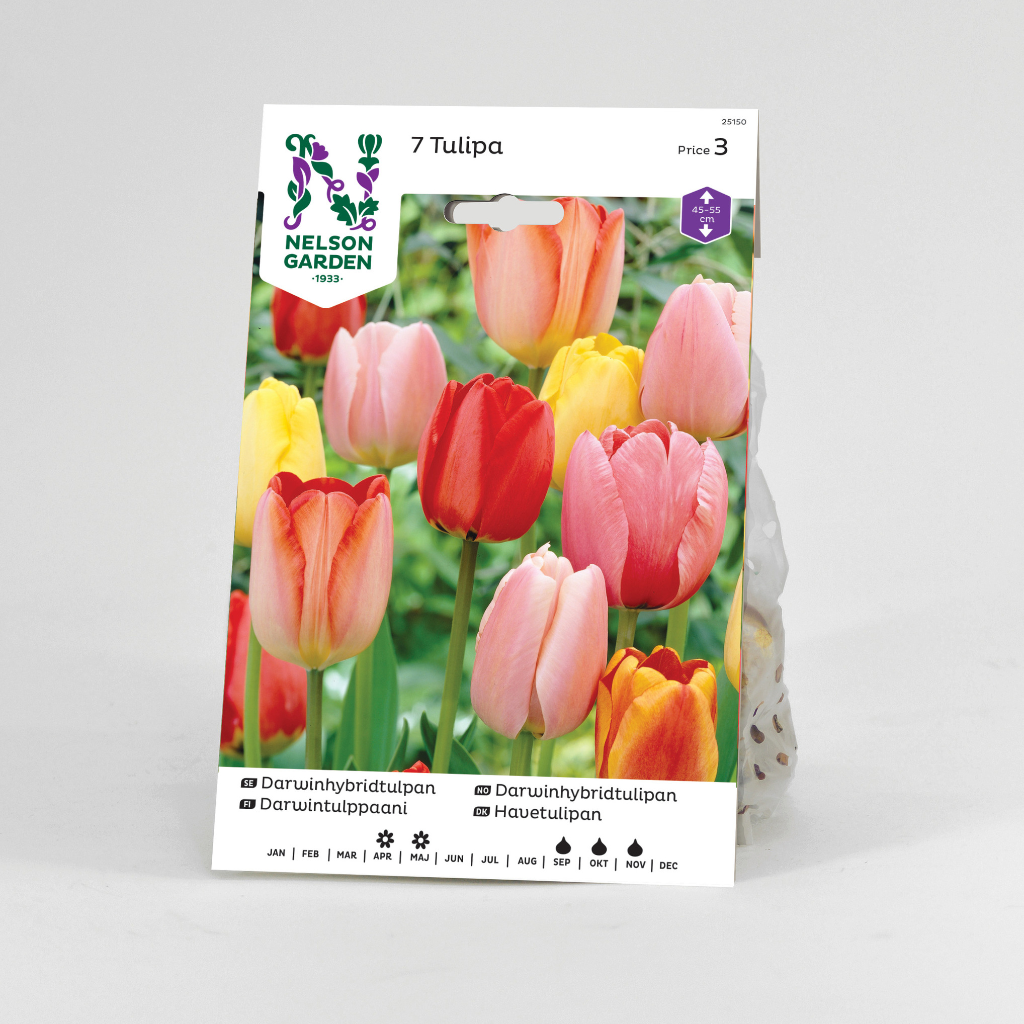Tulpan Nelson Garden Darwin Blandade Färger