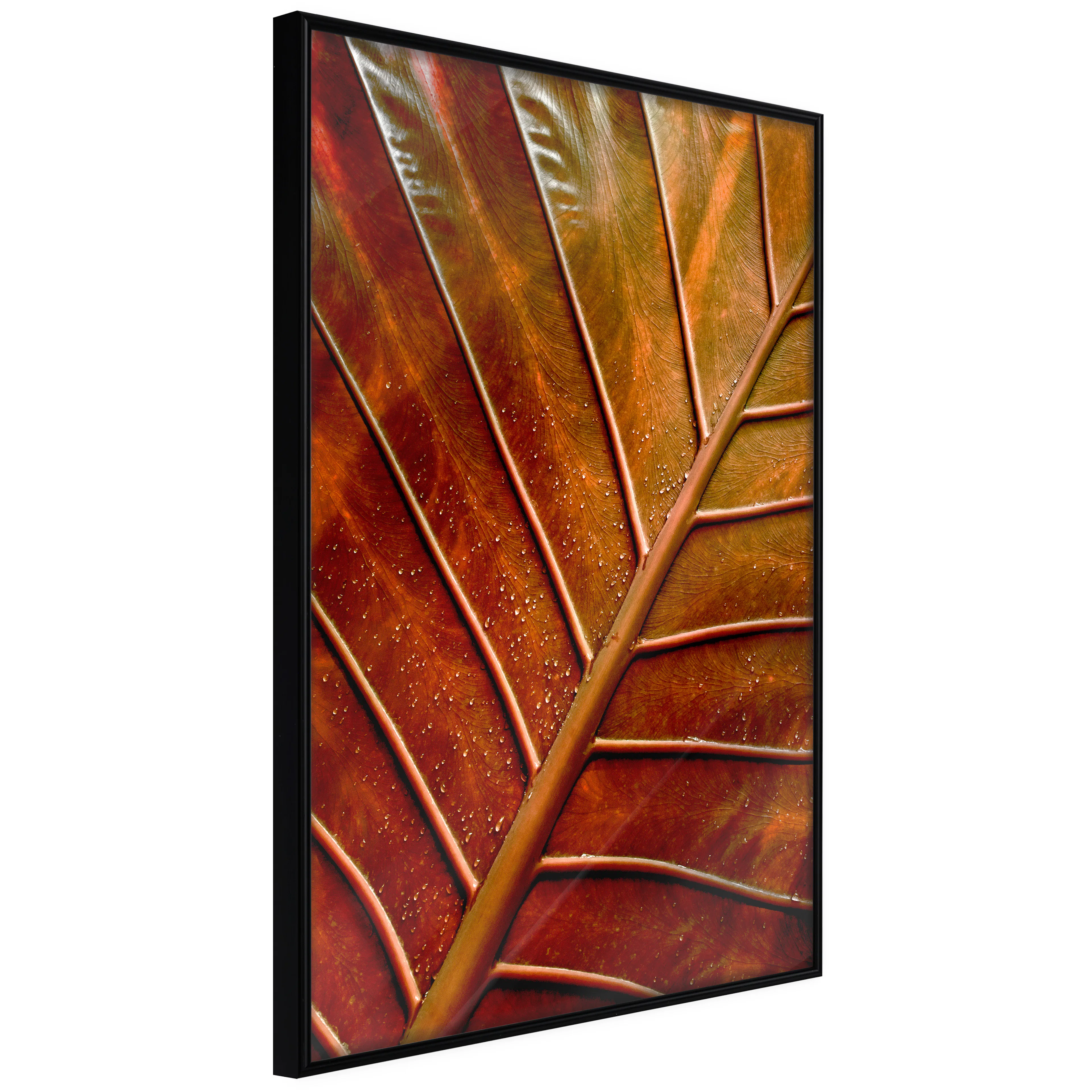 Affisch - September Twilight [Poster] 40x60 Svart ram, 40x60 cm