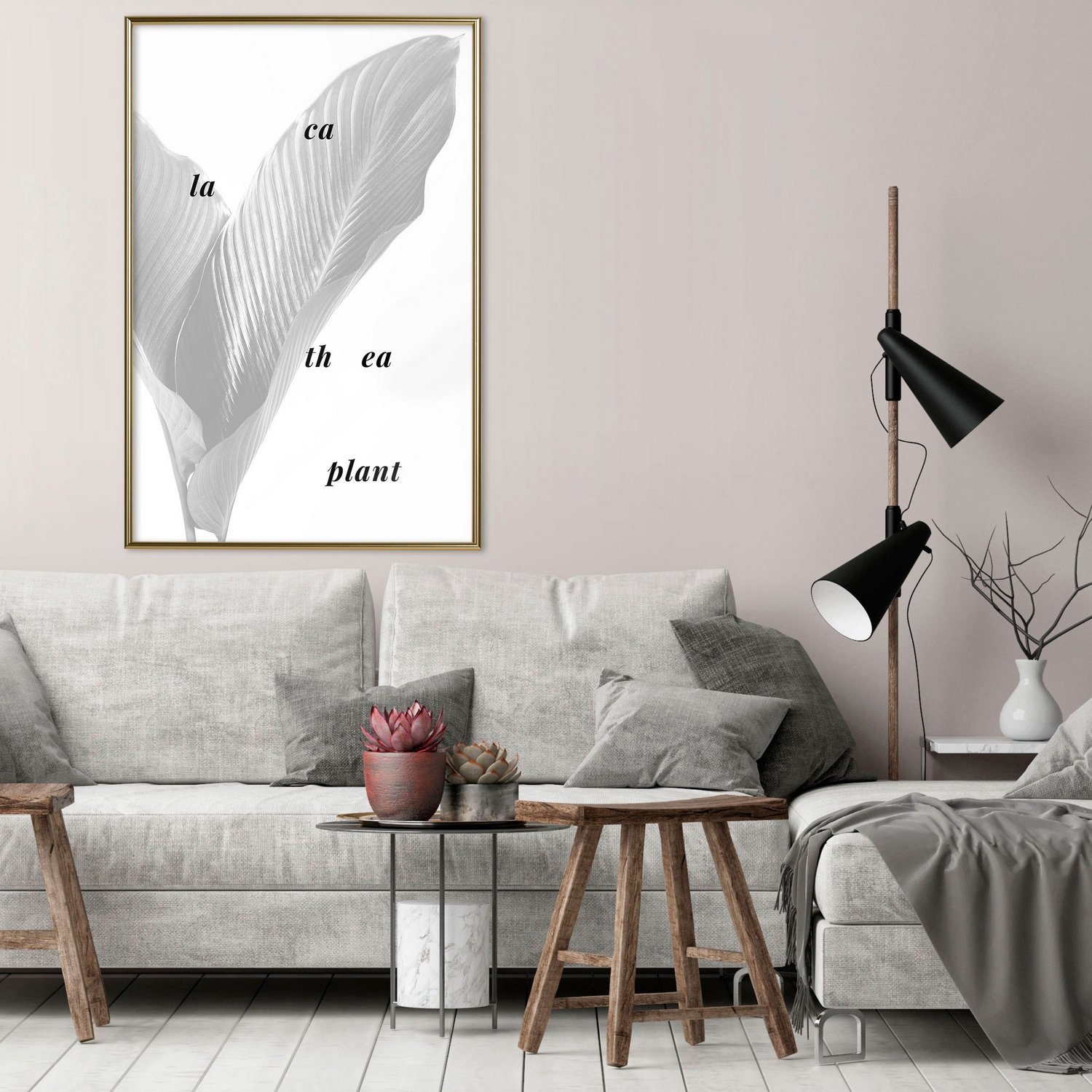 Affisch - Calathea Plant [Poster] 20x30 Guld ram, 20x30 cm
