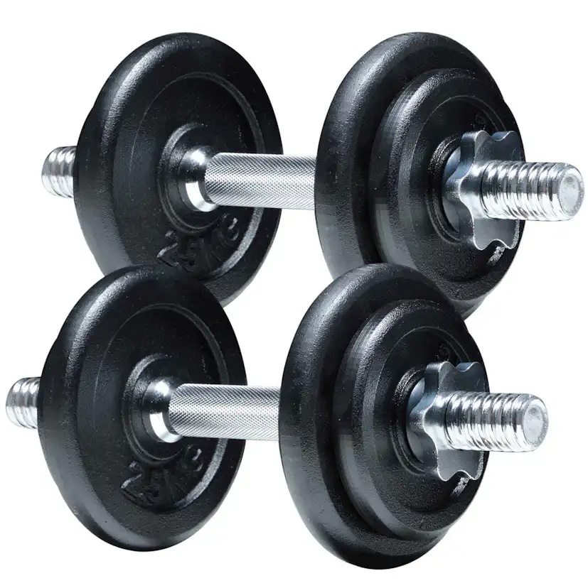 Hantlar Fitn Shape 20 kg set Järn Ställbara